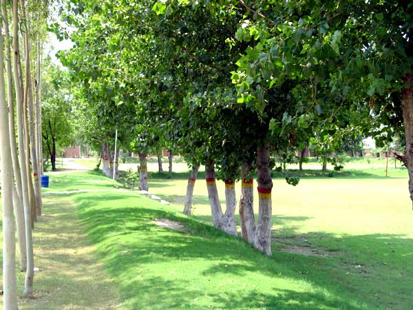 Boys Campus 2