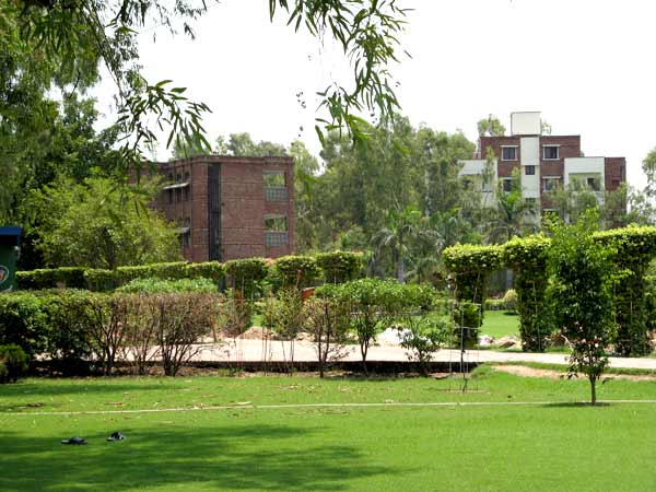 Girls Campus 5